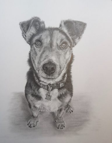 Barney - Jack Russel