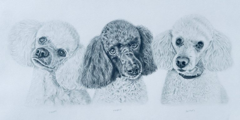 Rupert-Freddie-Bentley Rupert-Freddie-Bentley